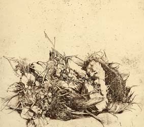 Sergio Saroni – L’ossessione del vero Sergio Saroni – L’ossessione del vero