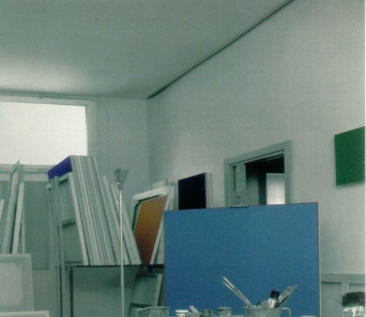 Vincenzo Cecchini – Il gesto e il colore