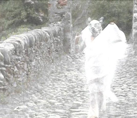 ConiglioViola – Recuperate Le Vostre Radici Quadrate