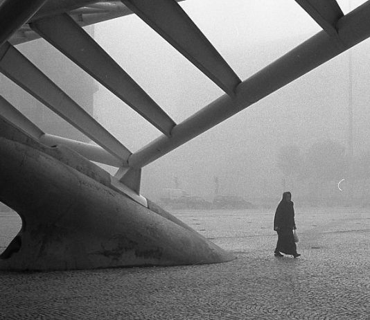 Ferdinando Fasolo – Diario Ferdinando Fasolo – Diario