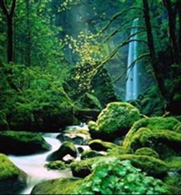 Gian Battista Pettinelli – Al di là della collina Gian Battista Pettinelli – Al di là della collina