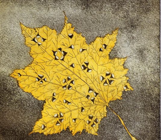 Laura Pozzi Rinaldi – Segni di natura