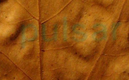 Lucia Baldini / Franco Pozzi – Pulsar