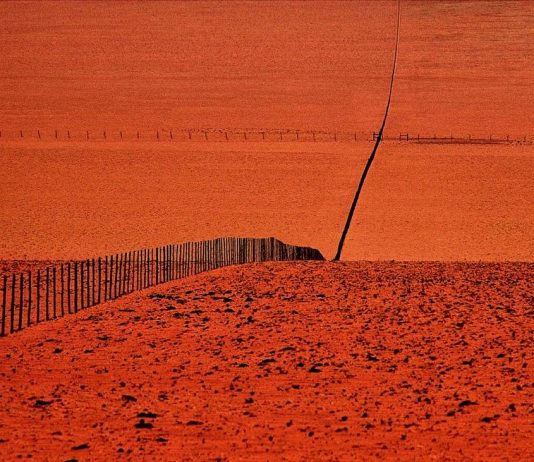 Riccardo del Fa – Similatitudini