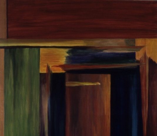 Alessandra Di Gennaro – Sottrazioni Provvisorie