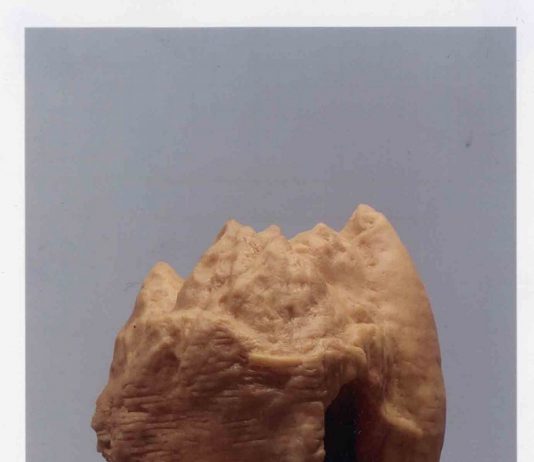 Andrea Fogli – Cammino inverso