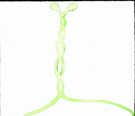 Andrea Massaioli – Un bacio e dieci conchiglie