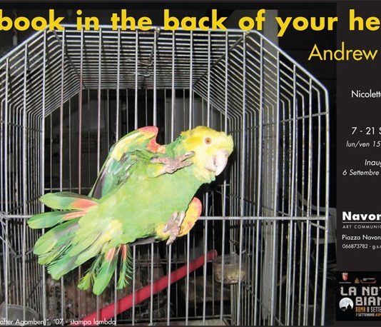 Andrew Rutt – A book in the back of your head