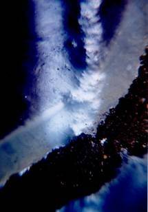 Annamaria Angelini Chiarvetto – Ananda del microcosmo Annamaria Angelini Chiarvetto – Ananda del microcosmo