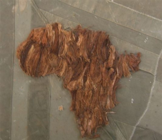 Armando Tanzini – Do Not Forget Africa