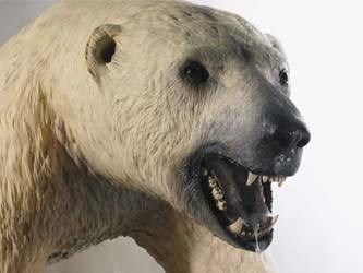 Bertozzi&Casoni – Le bugie dell’arte