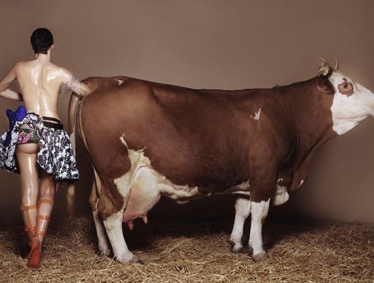 Brigitte Niedermair – Holy Cow Brigitte Niedermair – Holy Cow