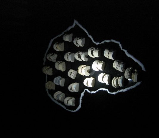 Carlo Maria Maggia – Africa Today Carlo Maria Maggia – Africa Today