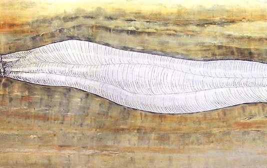 Claudia Zuriato – La pianta della Mandragora