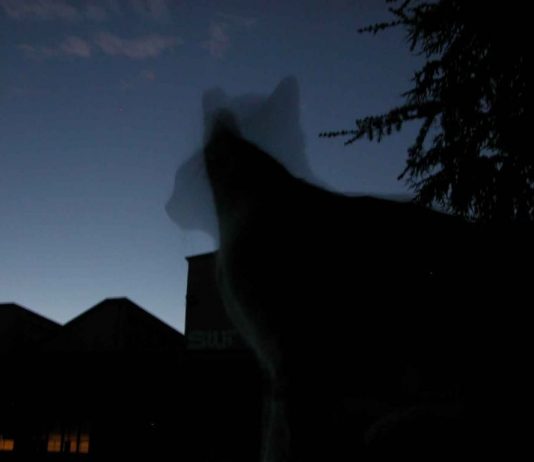 Cuoghi & Corsello – Il segreto di Collo Cuoghi & Corsello – Il segreto di Collo