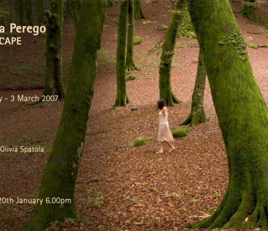 Daniela Perego – Landscape