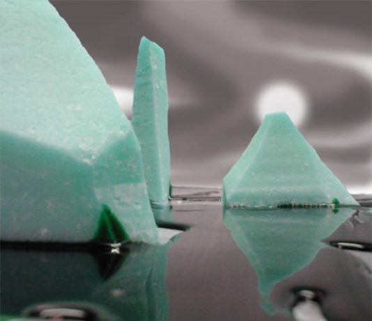 Daniele Camaioni – Planet food Daniele Camaioni – Planet food