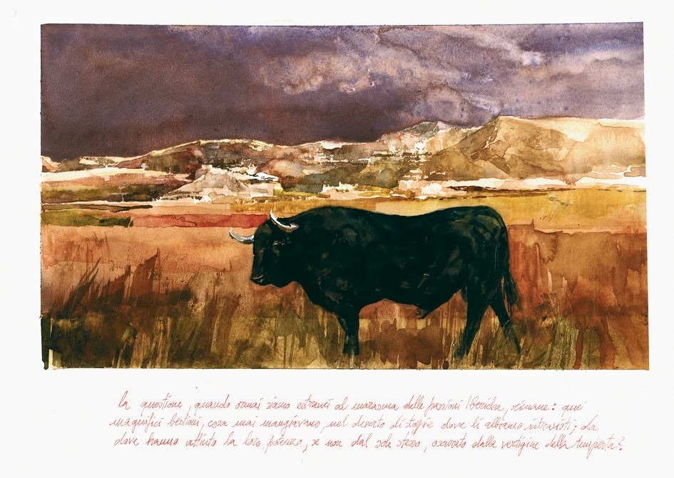 Daniele Gay – Tauromaquiahttps://www.exibart.com/repository/media/eventi/2005/09/daniele-gay-8211-tauromaquia.jpg