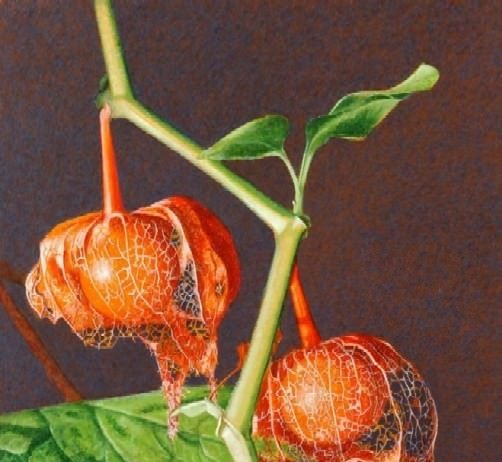 Ernesto Achilli – La quiete del rosso