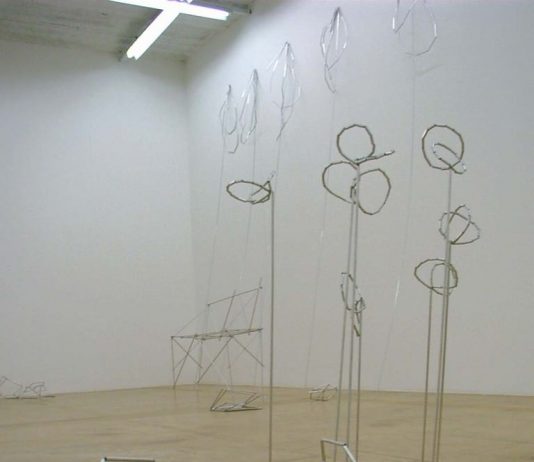 Eva Marisaldi – Il bosco di Claire