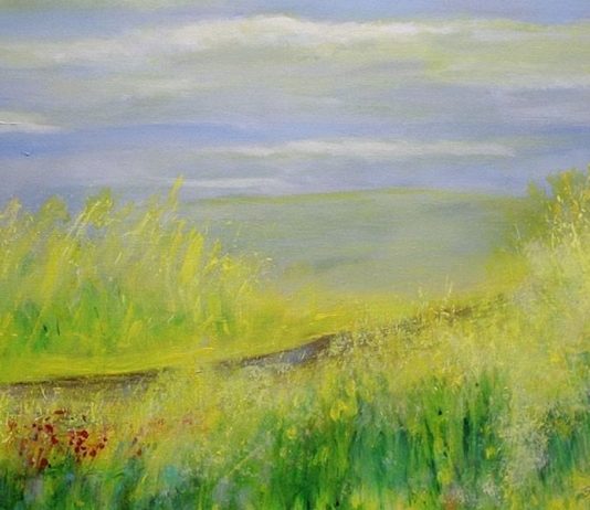 Felipe Hodgson – El color Felipe Hodgson – El color