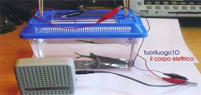 Fuoriluogo 10 – Omaggio a Titina Maselli e Gino Marottahttps://www.exibart.com/repository/media/eventi/2005/09/fuoriluogo-10-8211-omaggio-a-titina-maselli-e-gino-marotta.jpg