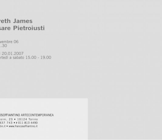 Gareth James / Cesare Pietroiusti