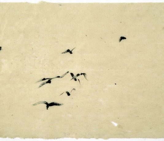 Gosia Turzeniecka – ziemniaki Gosia Turzeniecka – ziemniaki