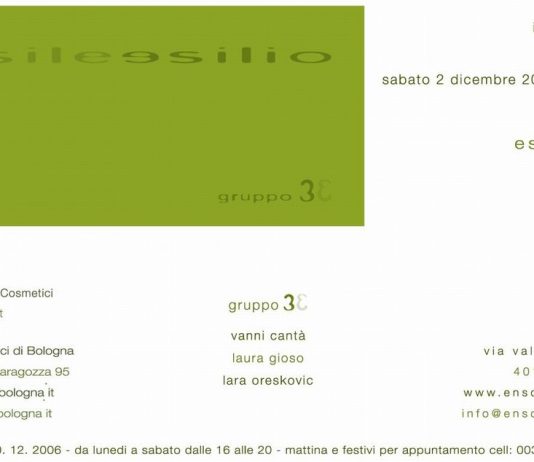 Gruppo 3 – Esile esilio