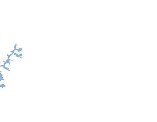 Kristine Alksne – Terrains Vagues Kristine Alksne – Terrains Vagues