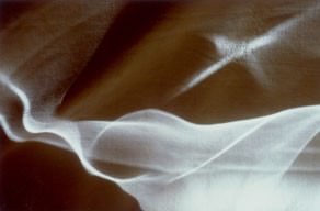 Laura Viliani – Convergenza Armonica