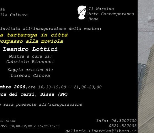 Leandro Lottici – Una tartaruga in città
