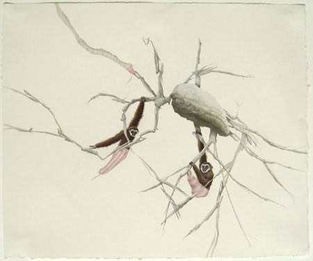 Loper | Miller | Pellegrini Loper | Miller | Pellegrini