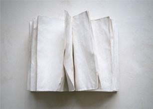 Lorenzo Perrone – Il libro Bianco