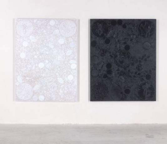 Luigi Carboni – Strategia dei gemelli Luigi Carboni – Strategia dei gemelli