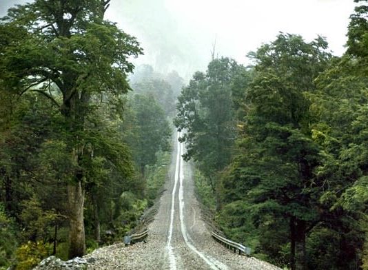 Magdalena Correa – Austral Magdalena Correa – Austral