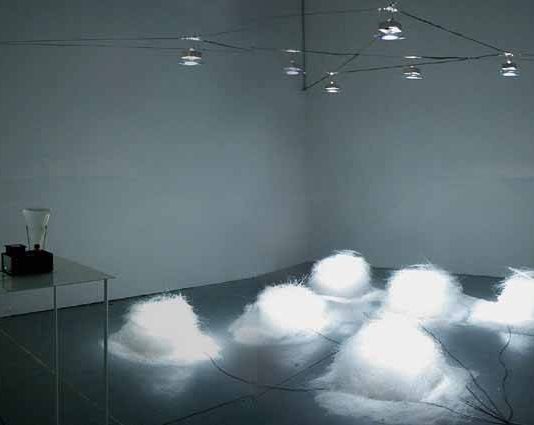 Maria Novella Del Signore