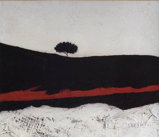 Mario Paschetta – Luci e ombre