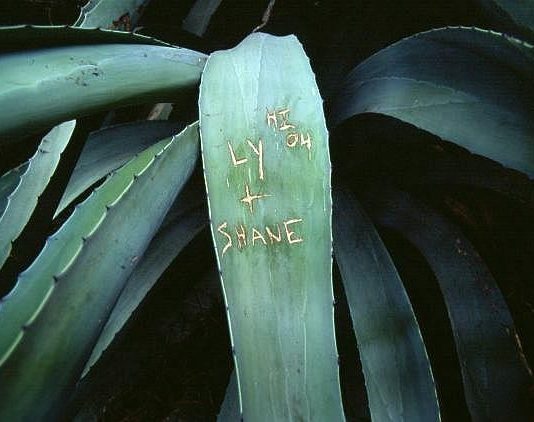 Martin Devrient – Stili Mediterranei