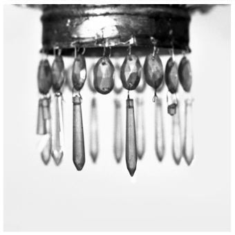 Martina della Valle Martina della Valle