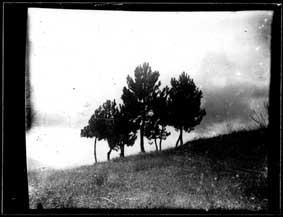 Matteo Serri Matteo Serri