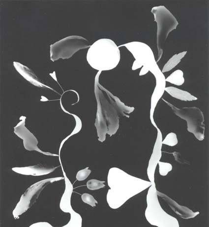 Michela Maria Langestein / Max Renkel Michela Maria Langestein / Max Renkel