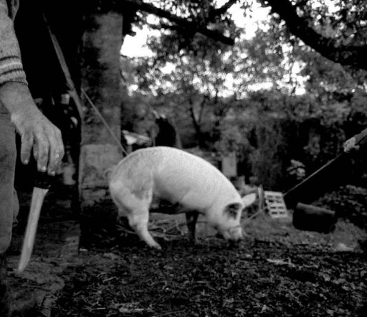 Michele Audisio – Dove il tempo scorre lento