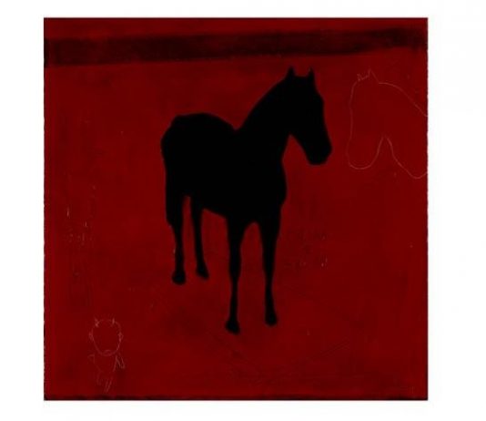 Mirko Baricchi – La casa del custode