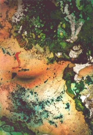 Monica Gabrielli – Il Sauro