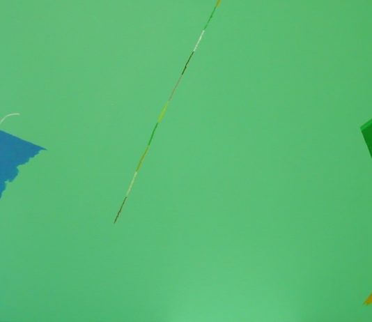 Nicola Maria Martino – Pittura senza paura