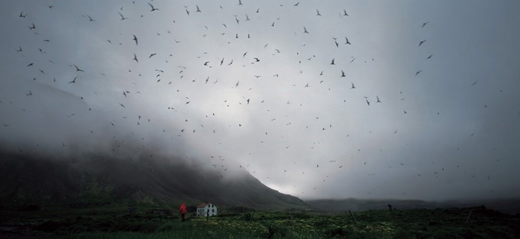 Paesaggi islandesihttps://www.exibart.com/repository/media/eventi/2005/09/paesaggi-islandesi-1.jpg