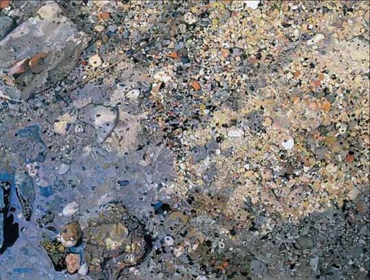 Paola Marzoli – In attesa del miracolohttps://www.exibart.com/repository/media/eventi/2005/09/paola-marzoli-8211-in-attesa-del-miracolo.jpg