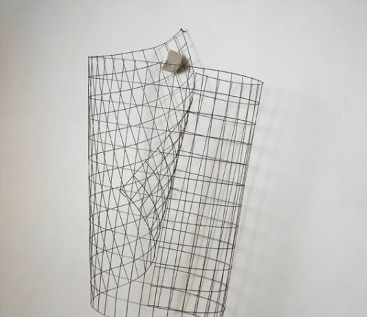 Paolo Icaro – Modalità