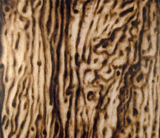 Paolo Pasotto Paolo Pasotto